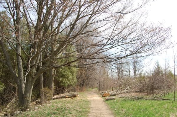 Mono Cliffs Provincial Park 