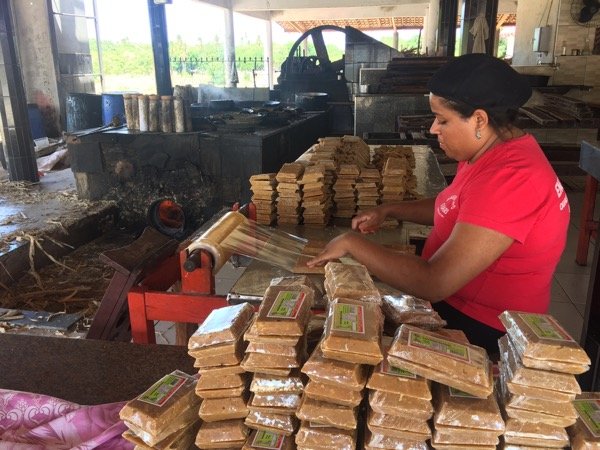 Engenho O Bari no Ceará