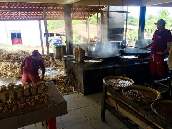 Engenho cana de açucar no Ceará