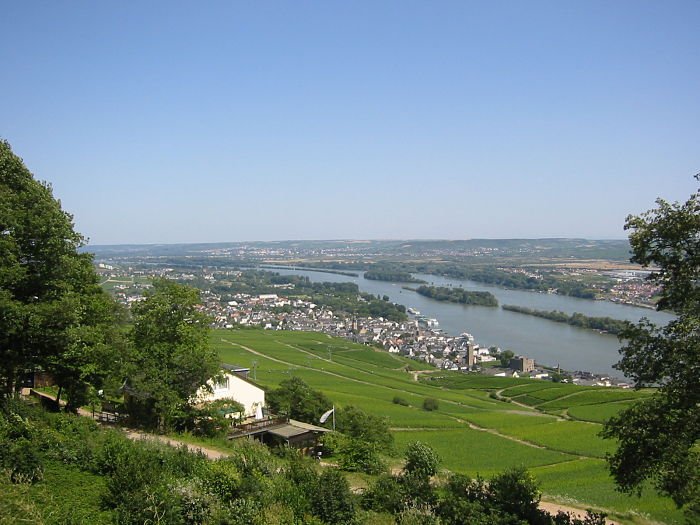 Rüdesheim do alto