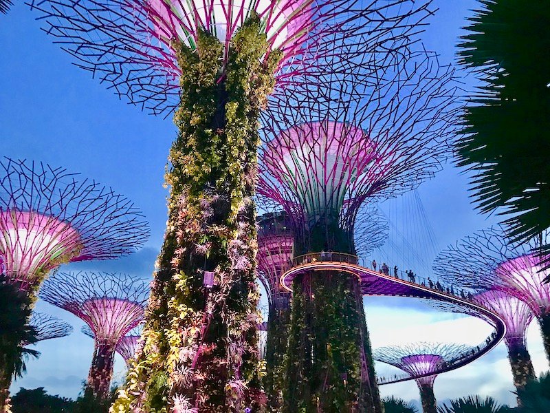 Gardens by the Bay, o jardim futurista de Singapura