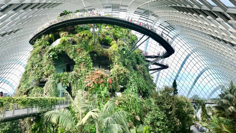 Cloud Forest, Gardens by the Bay