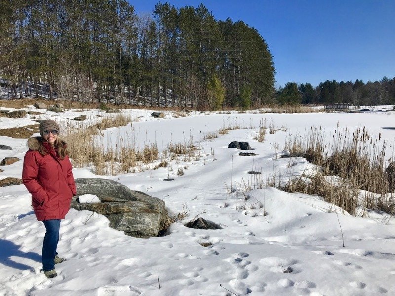 Muskoka - Paisagem de inverno