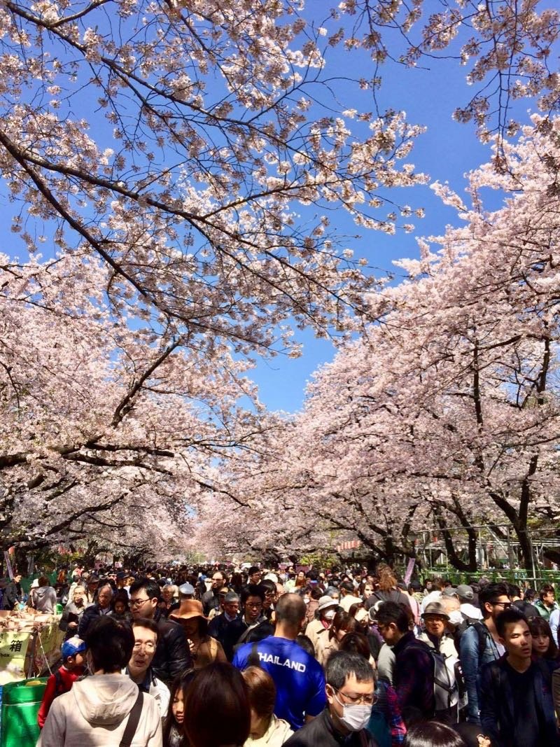 Parque Ueno, Tóquio