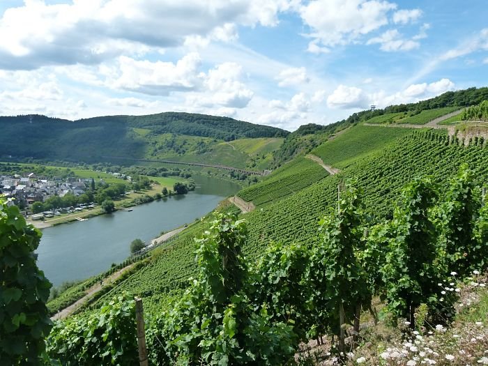 pünderich Rio Mosel na Alemanha