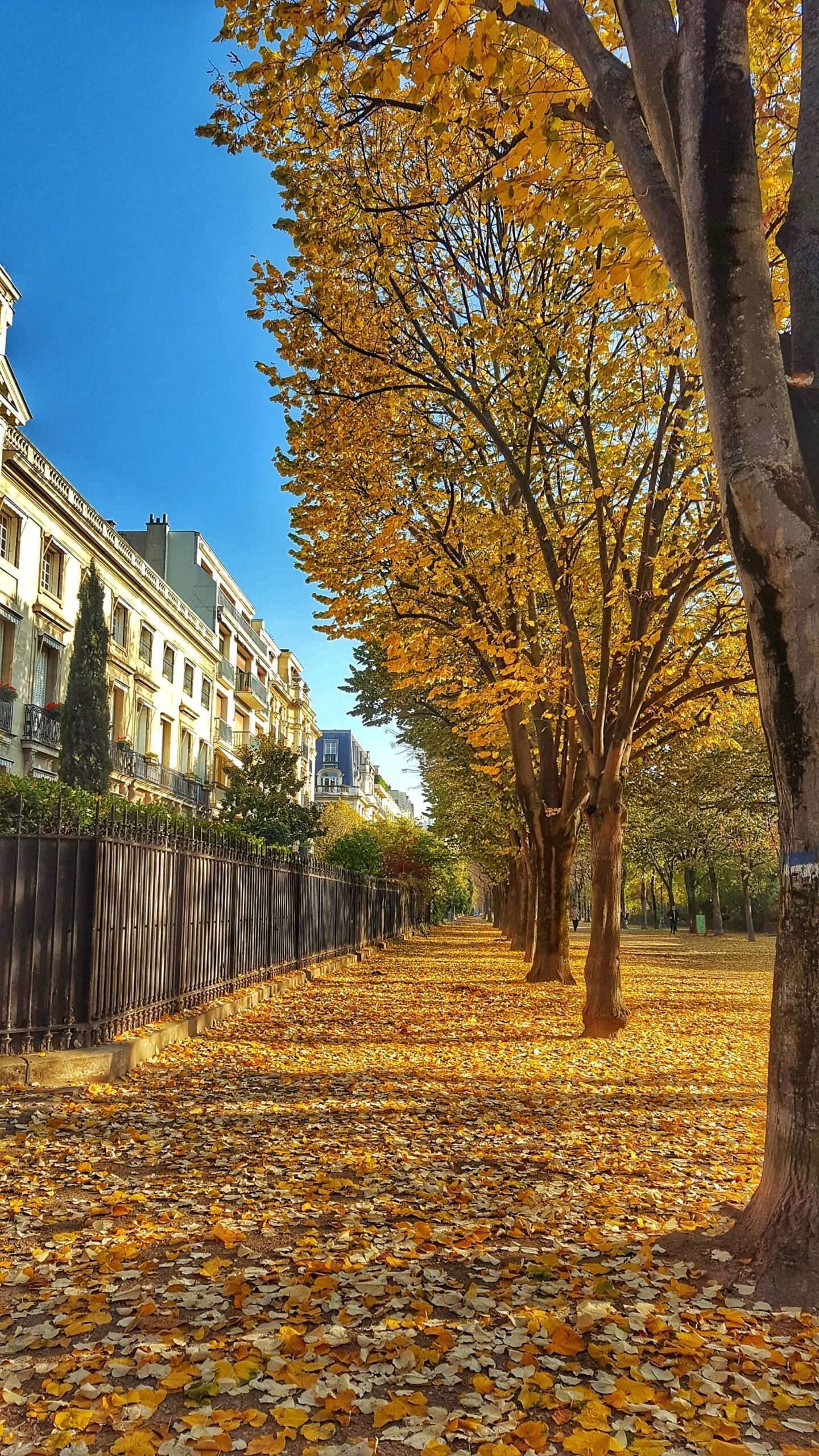 Outono em Paris