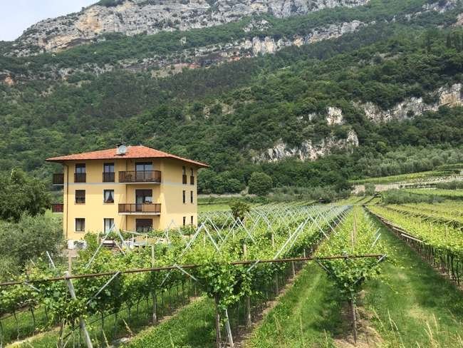 Lago di Garda Vinhedos