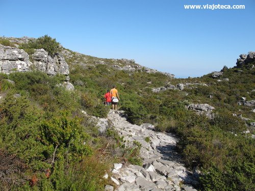 1 cidade 1 atração Cidade do Cabo Table Mountain17