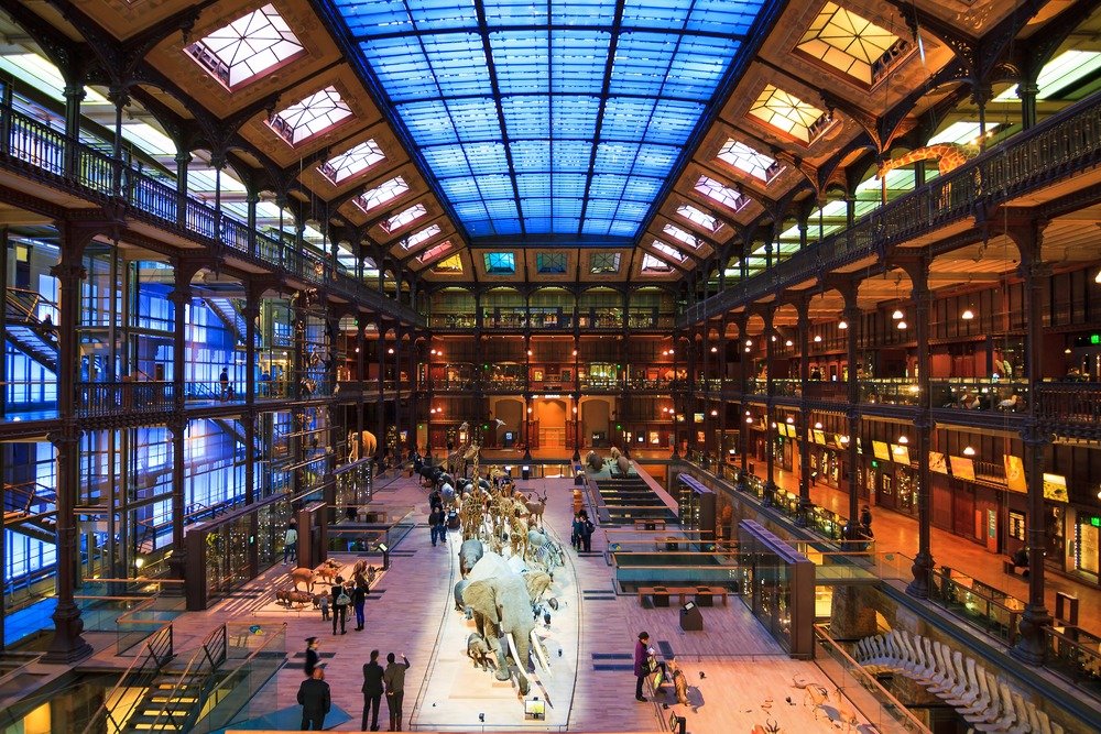 Galeria Evolução Paris